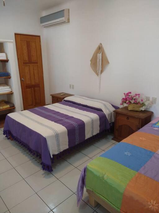 Lush Garden House Near Beaches With Private Pool. Puerto Escondido  Exteriör bild