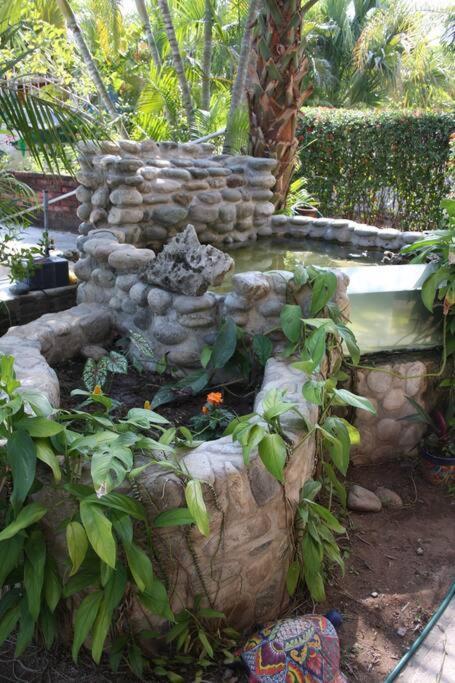 Lush Garden House Near Beaches With Private Pool. Puerto Escondido  Exteriör bild